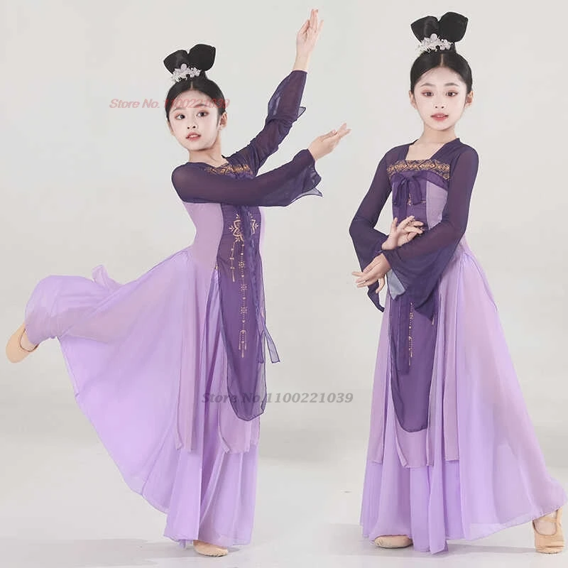 2025年中国風ヴィンテージ民族舞踊衣装花柄メッシュ漢服トップス+スカートセット伝統舞台公演ダンス妖精ドレス