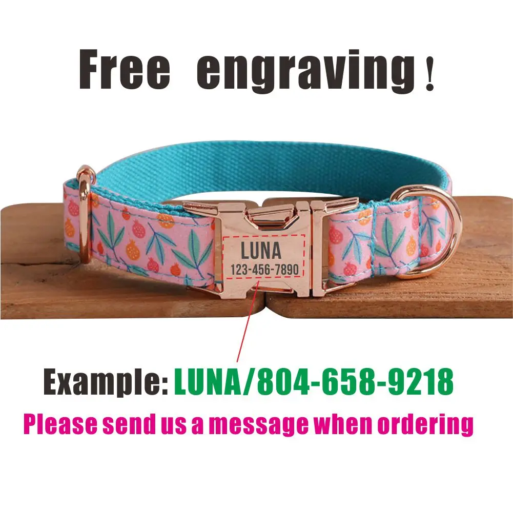 Рисунок 4 - Персонализированный ошейник для