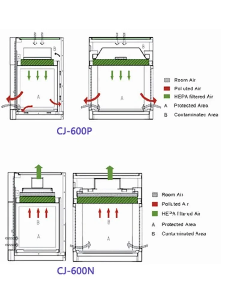 Mini Laminar Flow Cabinet Table Type Clean Equipment for School Hosipital Laboratory Fume Hood CJ-600P CJ-600N with Led Light