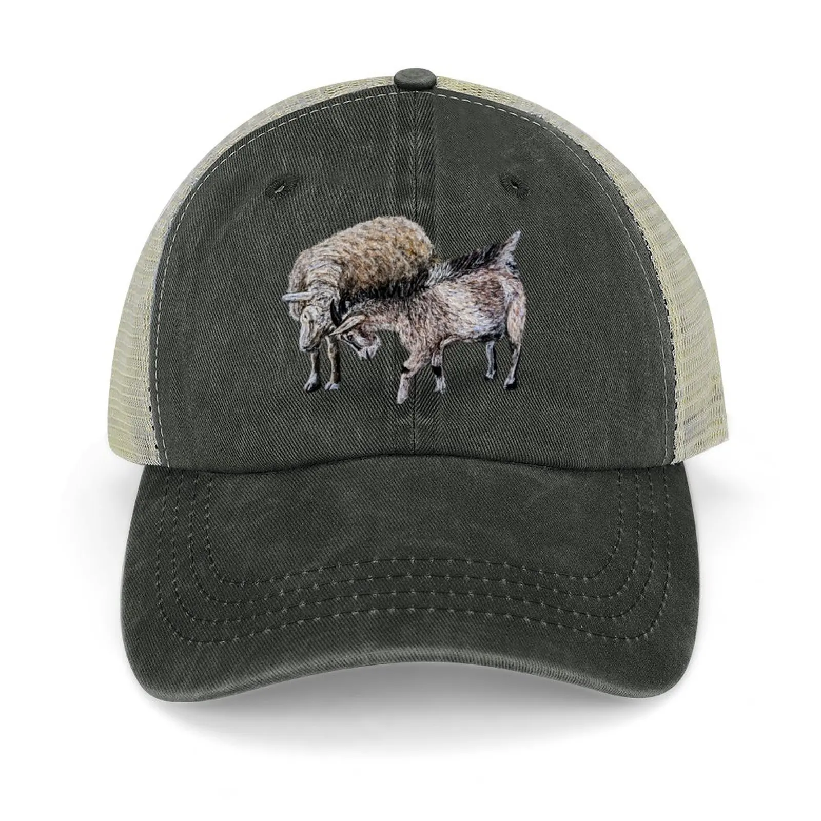 

Clover and Paisley Baseball Cap Winter hat Wild Ball Hat Military Tactical Cap For Girls Men's