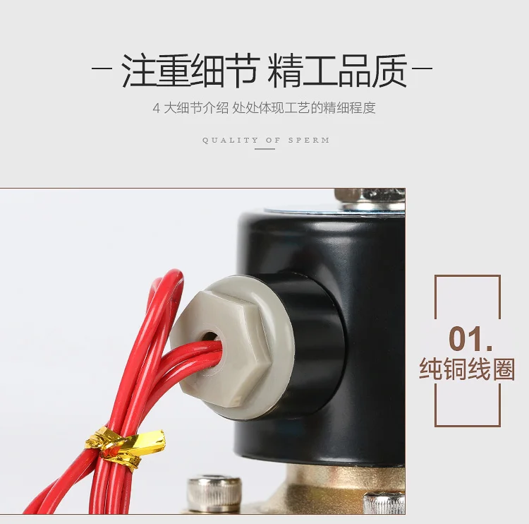 Pneumatic solenoid valve 2W160-15/4 normally closed two-way water valve copper DN15 electromagnetic control valve AC220V 24V