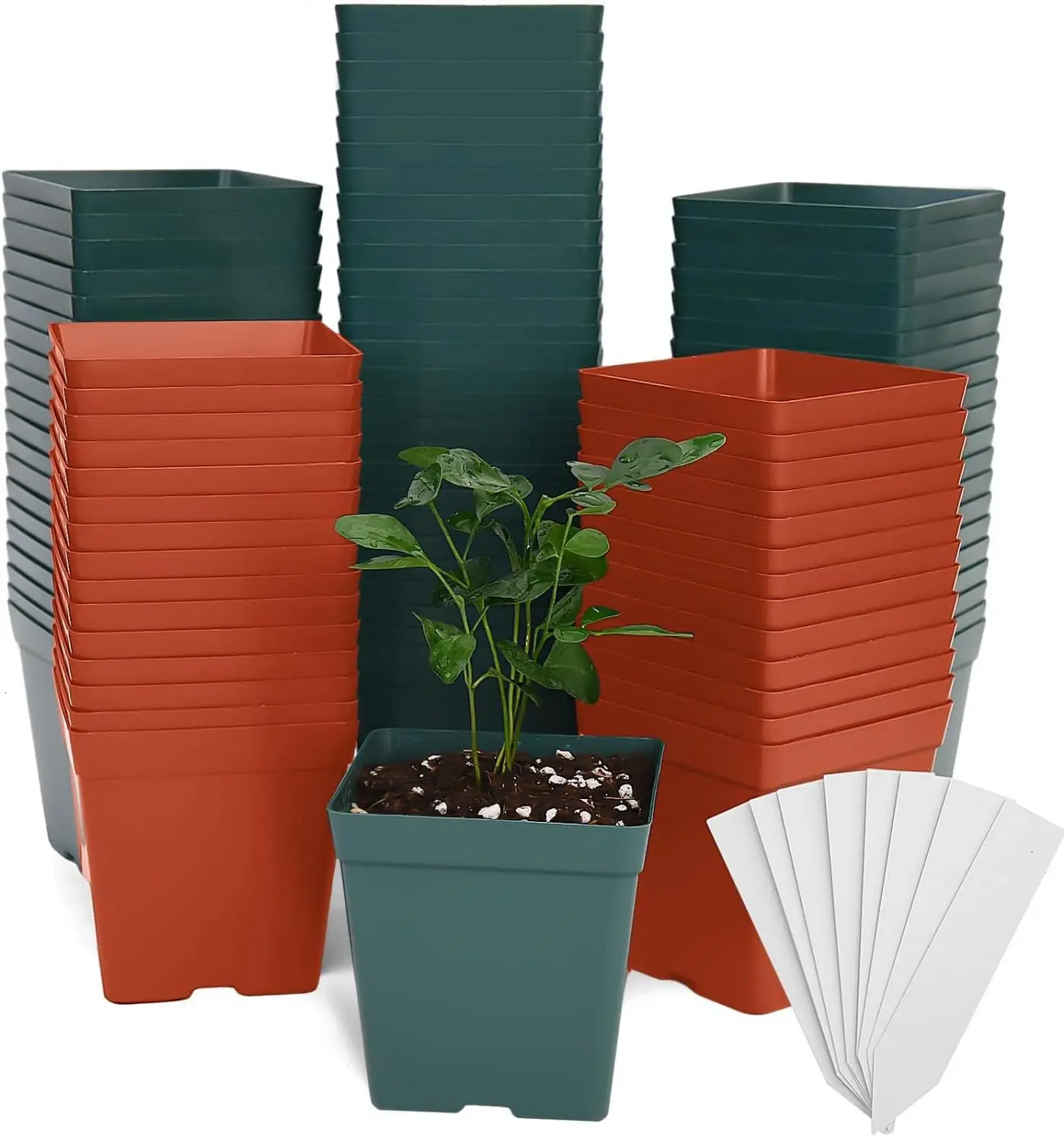 

100 Pack Green Red Square Nursery Pots with Drainage Holes 3.3 Inches Flexible Plastic Seedling Pots Square Pots for Pla