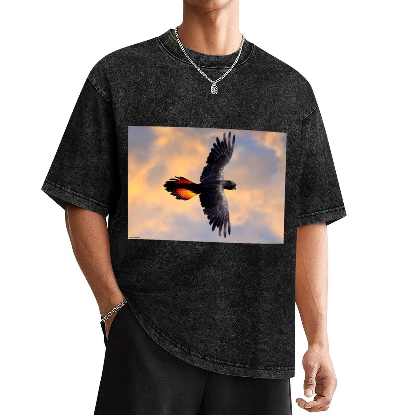 Red Tail Black Cockatoo - Flight T-Shirt boys whites anime shirts graphic hippie clothes t shirts for men