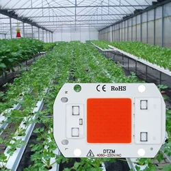 AC220V 10W 20W 30W 50W LED Grow COB Chip Phyto Lamp Full Spectrum For Indoor Plant Seedling Grow and Flower Growth Lighting DIY