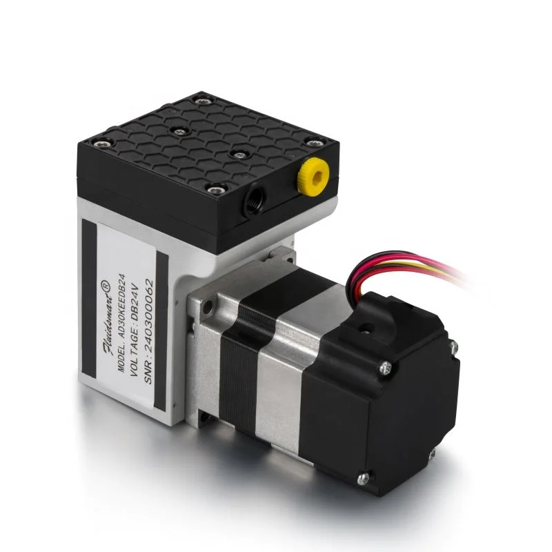 

Long Life 1bar 120kpa 25L 30L/M 12V/24V DC Custom Brushless Motor Smart Vacuum Small Micro Diaphragm Gas Air Pump