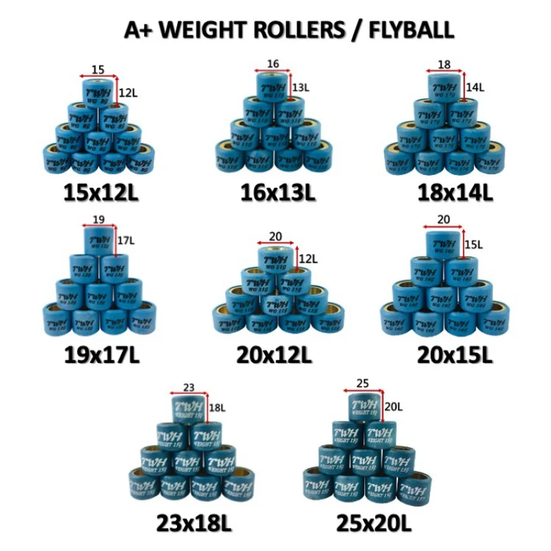 TWH Motorcycle Scooter 23x18 Cooper A  Drive Variator Roller Weight