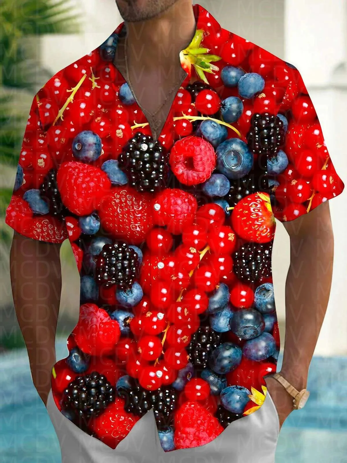 Hawaiiaans overhemd voor heren - Shirt Camp Collar recensie en prijs