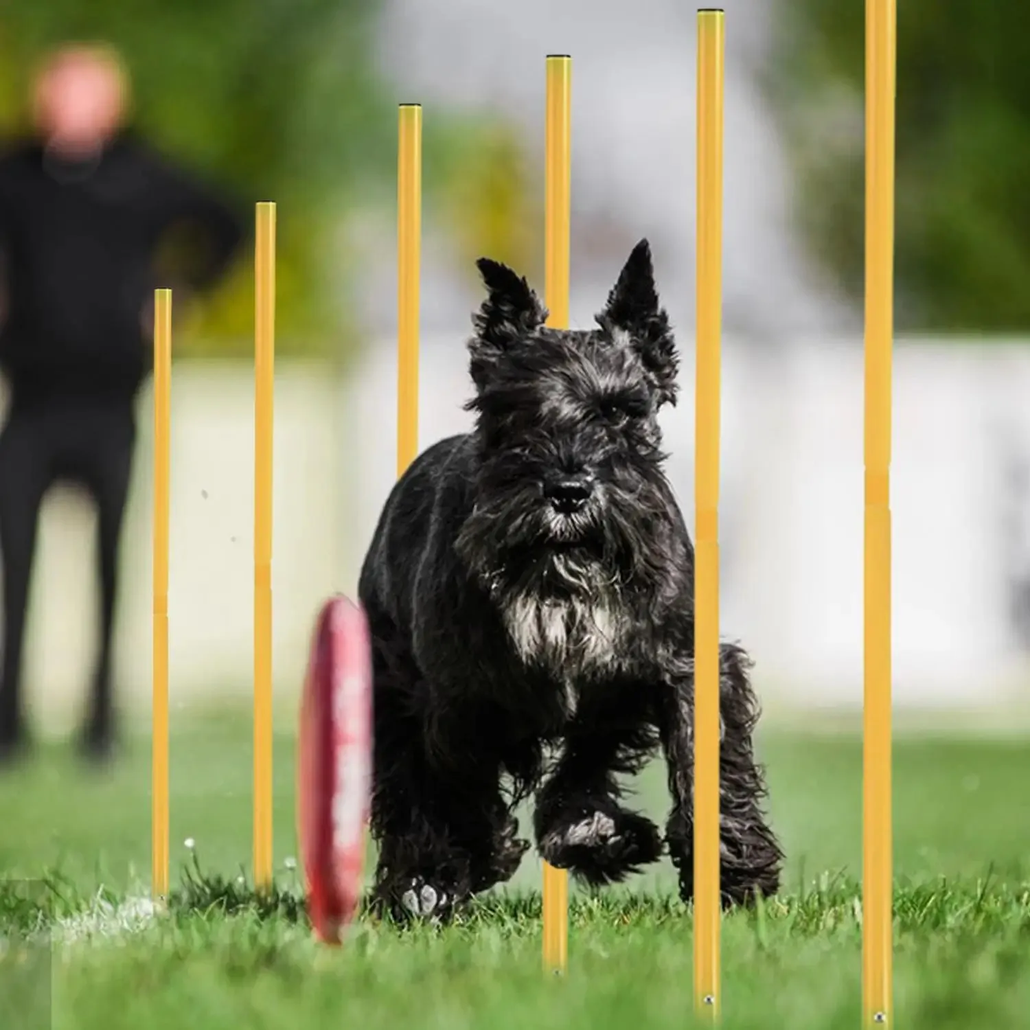 Dog Agility Trainer Dribbling Around Poles Training Obstacle, S-Shaped Running Sign Post, Football Auxiliary Training Equipment,