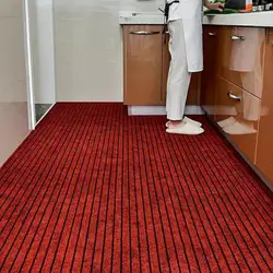 Tapis de Sol à Rayures en Polymère, Absorbant l'Eau, pour Entrée de Maison, Cuisine, Couloir