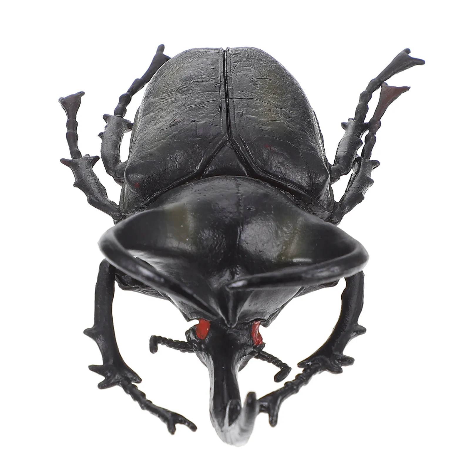 Beetle Simulation Insect Specimen PVC Educational Kids Exploration Decoration Animal Science Study Beetle Model