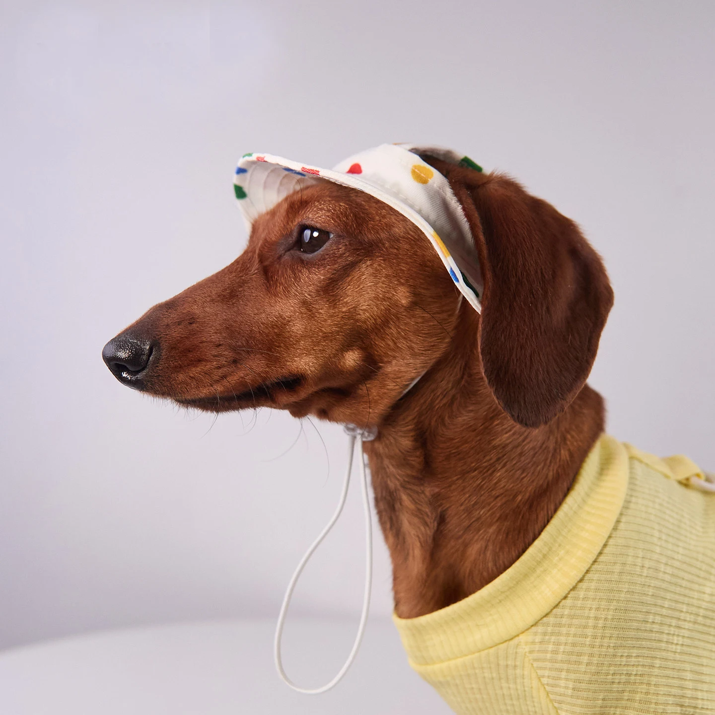 Gorra verano para perros pequeños y medianos - Protección solar - imagen 3