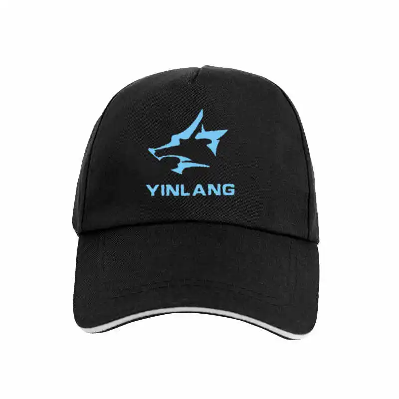 Jeu Honkai: Star Rail Silver Wolf hommes femmes casquette de Baseball noire Cosplay en plein air dessin animé chapeau de soleil été voyage quotidien Topee cadeau +