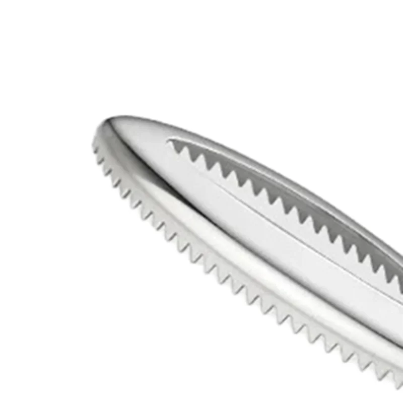 Fish Scale Brush Fish Scale Remover Stainless Steel Serrated Easy To Remove Fish Scales Cleaning Brush Kitchen Tools-Y48A