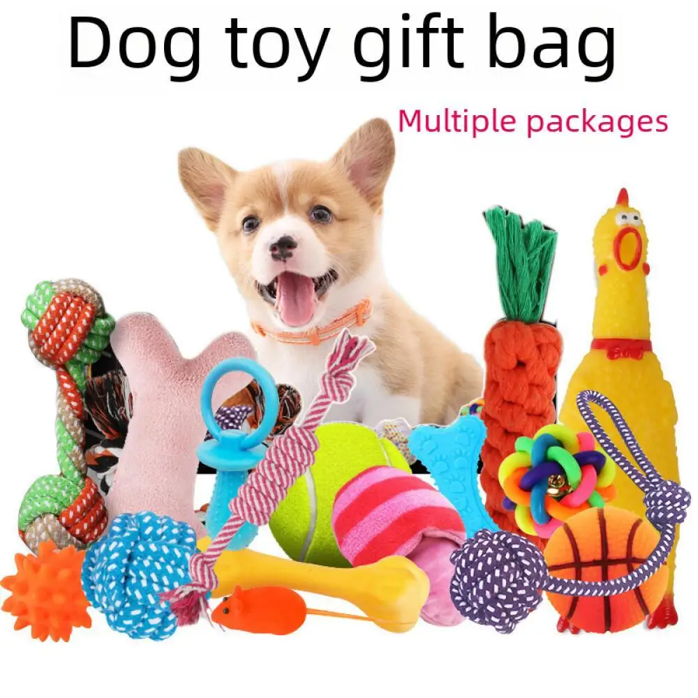 Plush Dog Toy Vocal Training Set Puppy Playtime Accessories Teddy Golden Retriever Supplies 2024 New