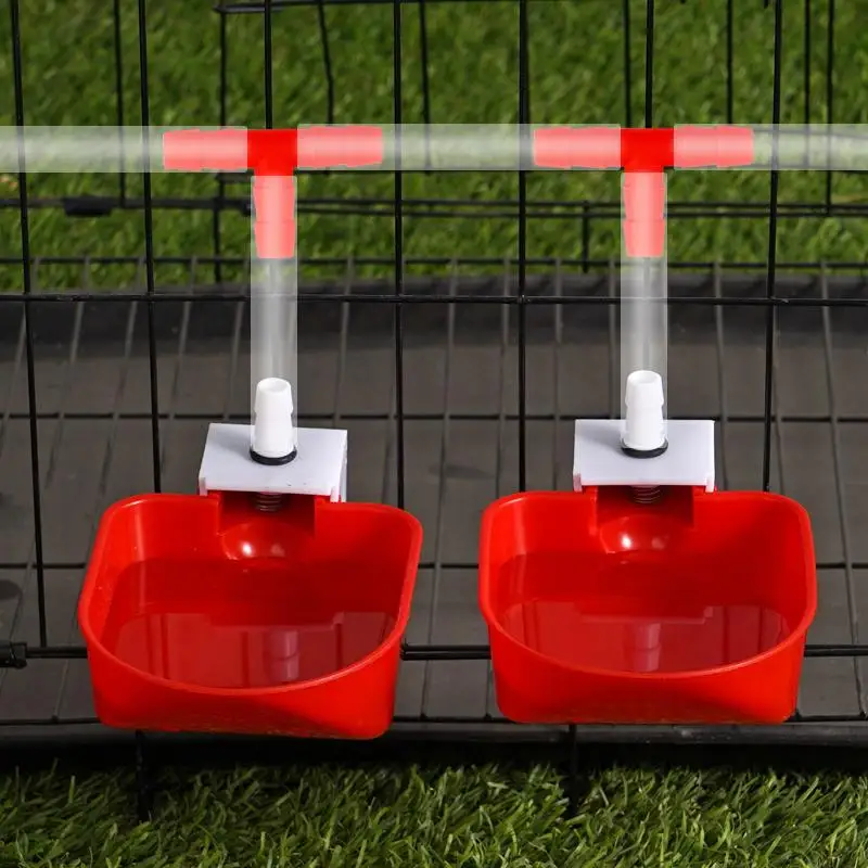 5 قطعة التلقائي الدجاج بطة وعاء للشرب أوزة بطة الدجاج شرب كوب سقي مزرعة تركيا السمان الدواجن أطباق مياه الشرب #2