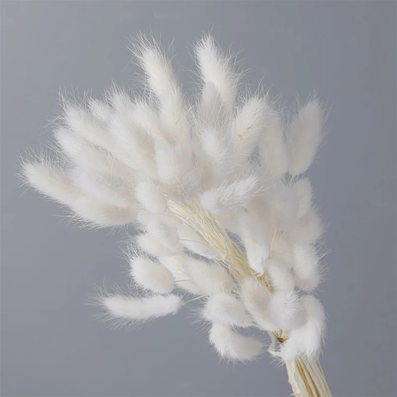 Natural Dried Flowers White Grey Flowers 100pcs Real Rabbit Tail Grass Bouquet Flower Wedding Arrangement Home Living Room Decor