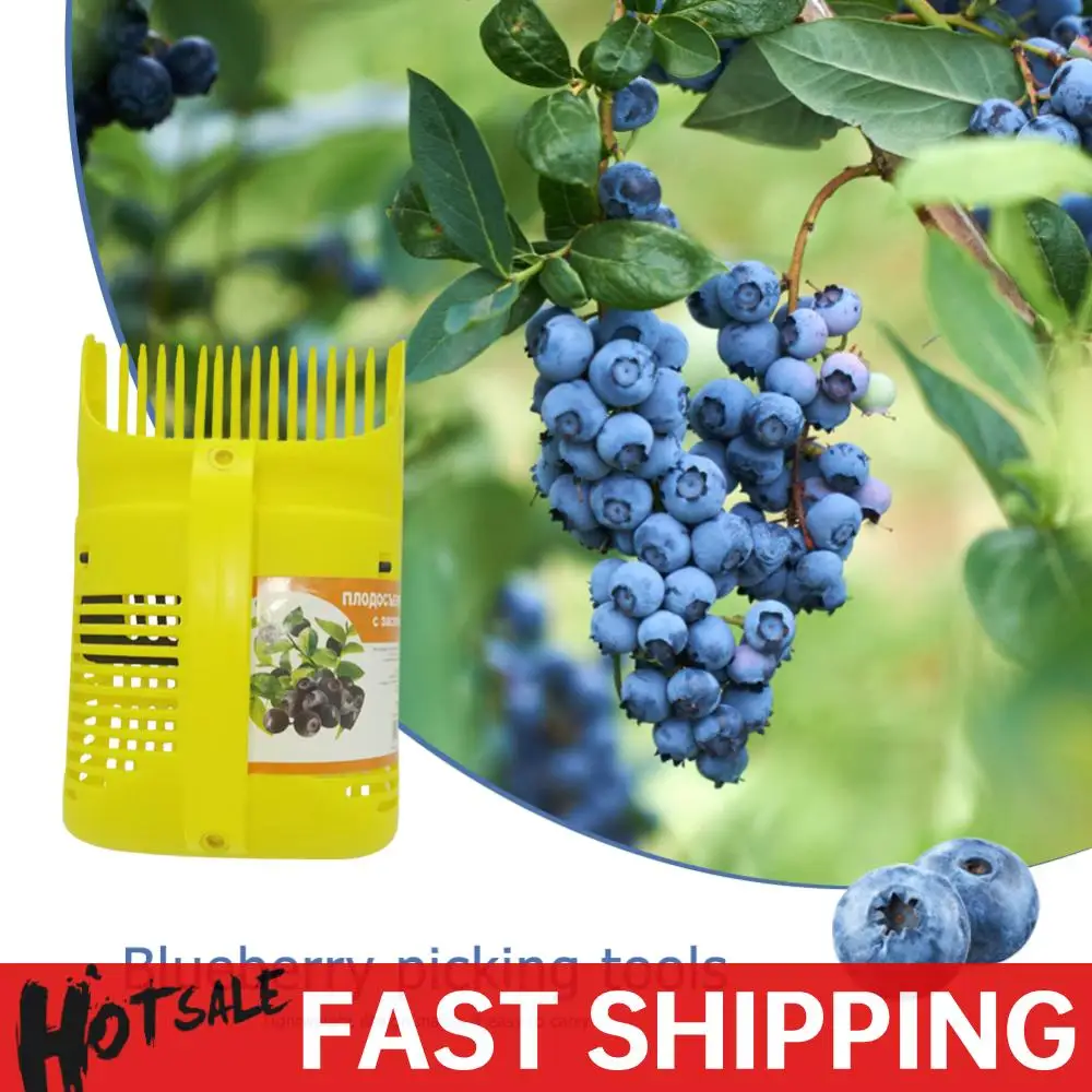 

Fruit Picker Picking Fruit Collecting Scoop Shovel Tool Handle Blueberry Collection Harvester for Blueberries Cranberries