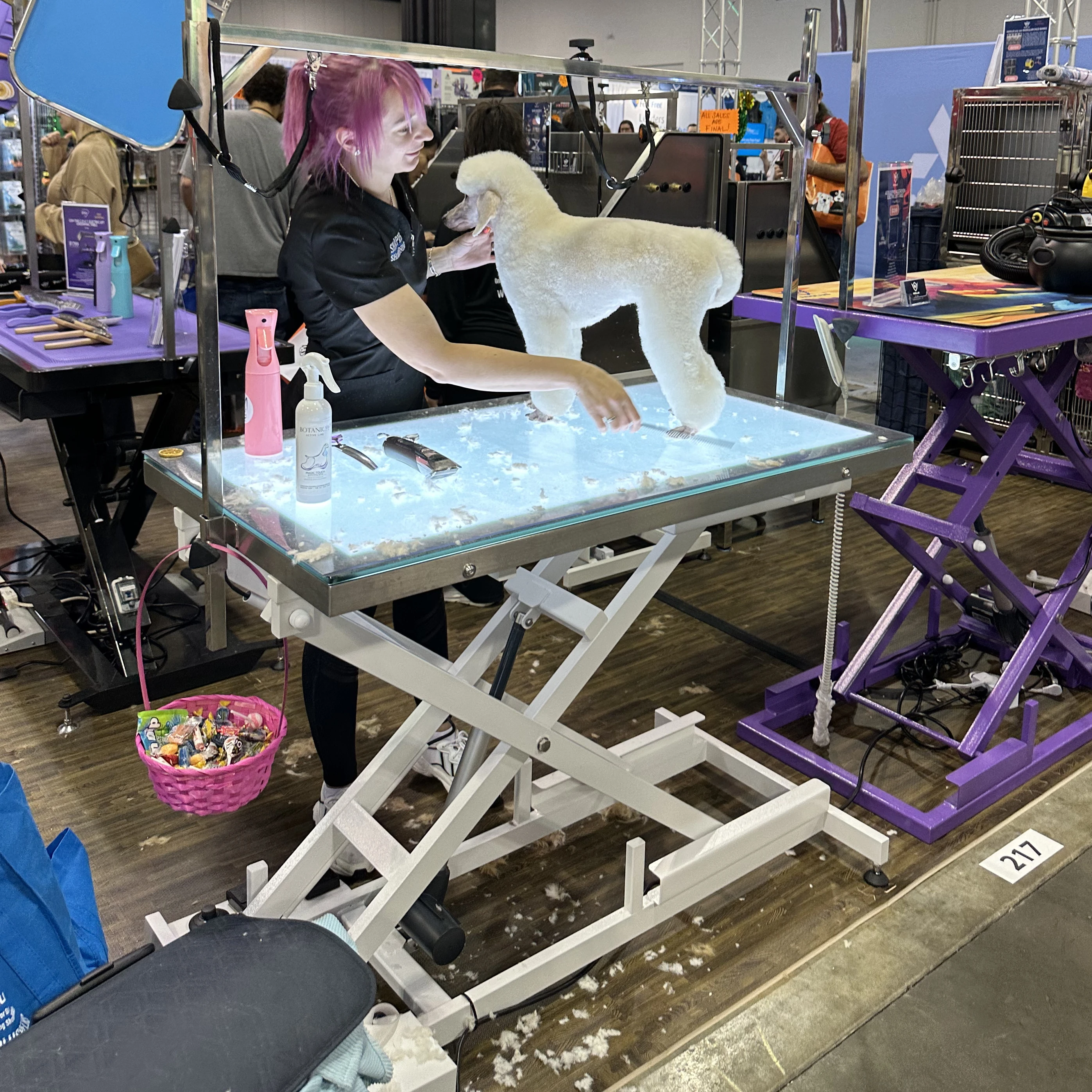 

Демонстрационный стол для ухода за домашними животными, светодиодное освещение, заводская цена, электрический подъемный складной стол