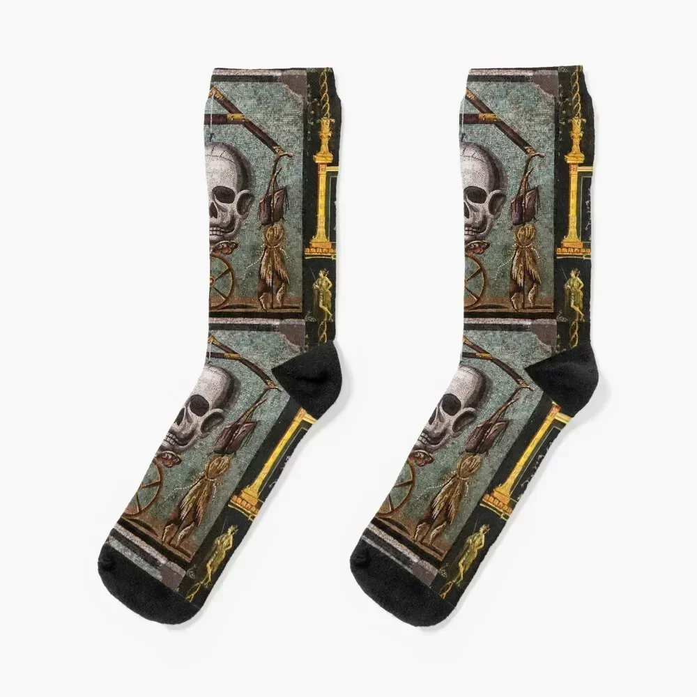 POMPEII COLLECTION / MEMENTO MORI, SKULL ,BUTTERFLYAND WHEEL OF FORTUNE Socks Thermal man winter Socks For Men Women's