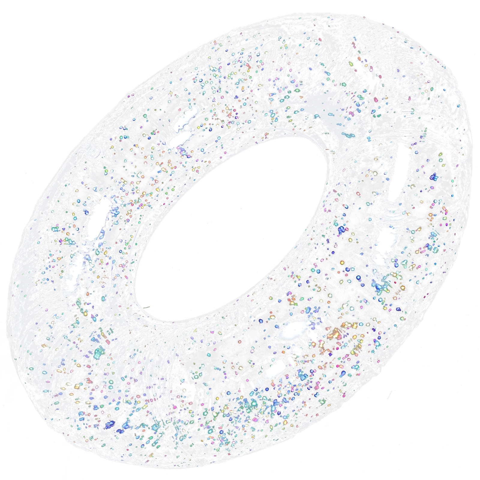 

Inflatable Transparent Swimming Ring Glitter Tube for Adults Toddlers Beach Pool Party Float Toy Lightweight