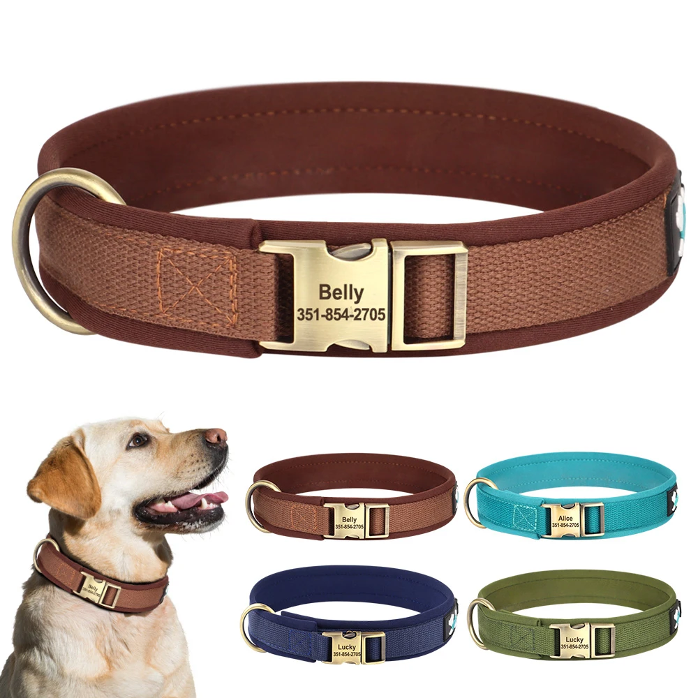 

Personalized Nylon Dog Collar Soft Padded Dog Collars Durable Pet ID Collar Adjustable for Small Medium Large Dogs Free Custom