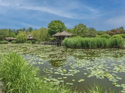 

WW2 Военная модель бронеавтомобиля MOC Строительные кирпичи Военное оборудование Модульная технология Подарки Праздничная сборка Детские игрушки Костюм