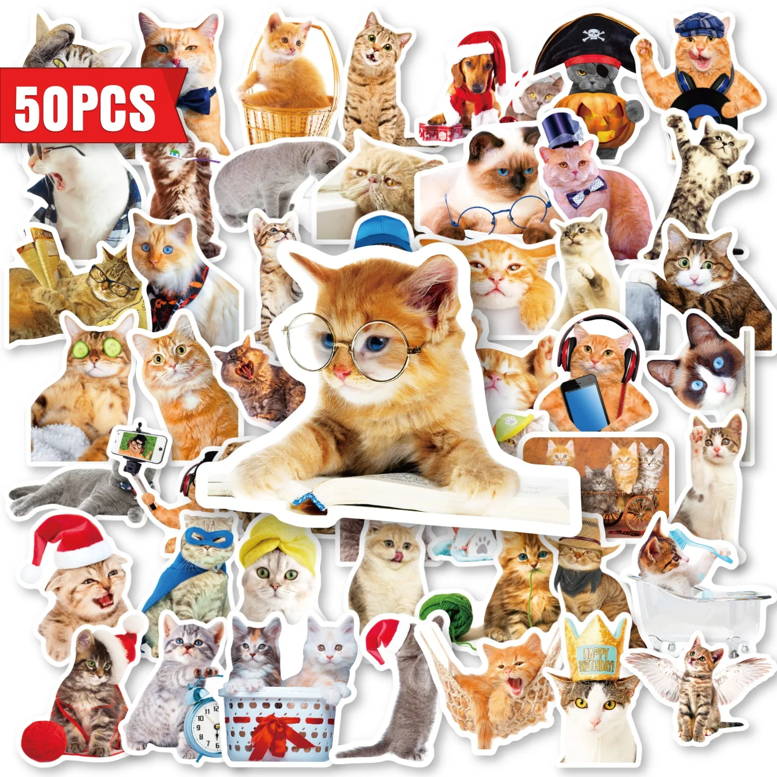 10/30/50Pcs Cute Kitty Stickers Cats, orange cat, ragdoll, tabby, hairless cat, British shorthair, Siamese pet cat stickers