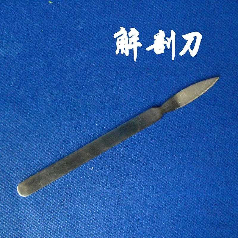 

1pc biological scalpel Galvanized iron Length 13cm Biological experiments Experiment supplies Teaching equipment