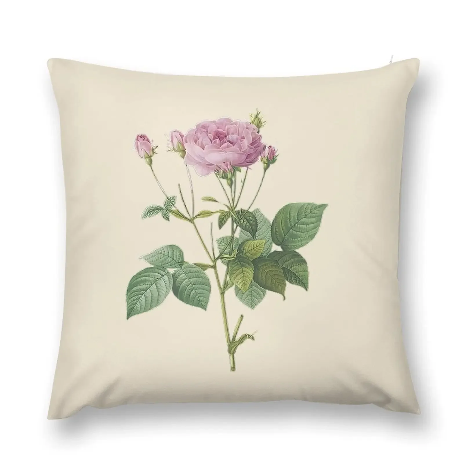 Vintage Rosebush of France Art - Pierre-Joseph Redouté Throw Pillow Couch Pillows Luxury Cushion Cover pillow