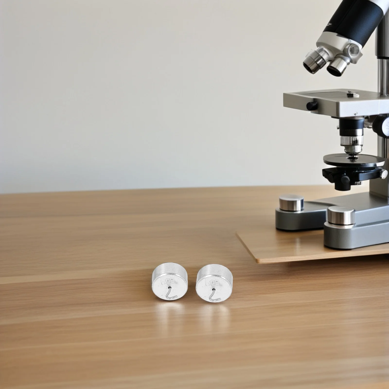 

10Pcs Precision Calibration Weights Set Iron Hooked Design for Laboratory Use Science Education Scale Testing and Adjustment