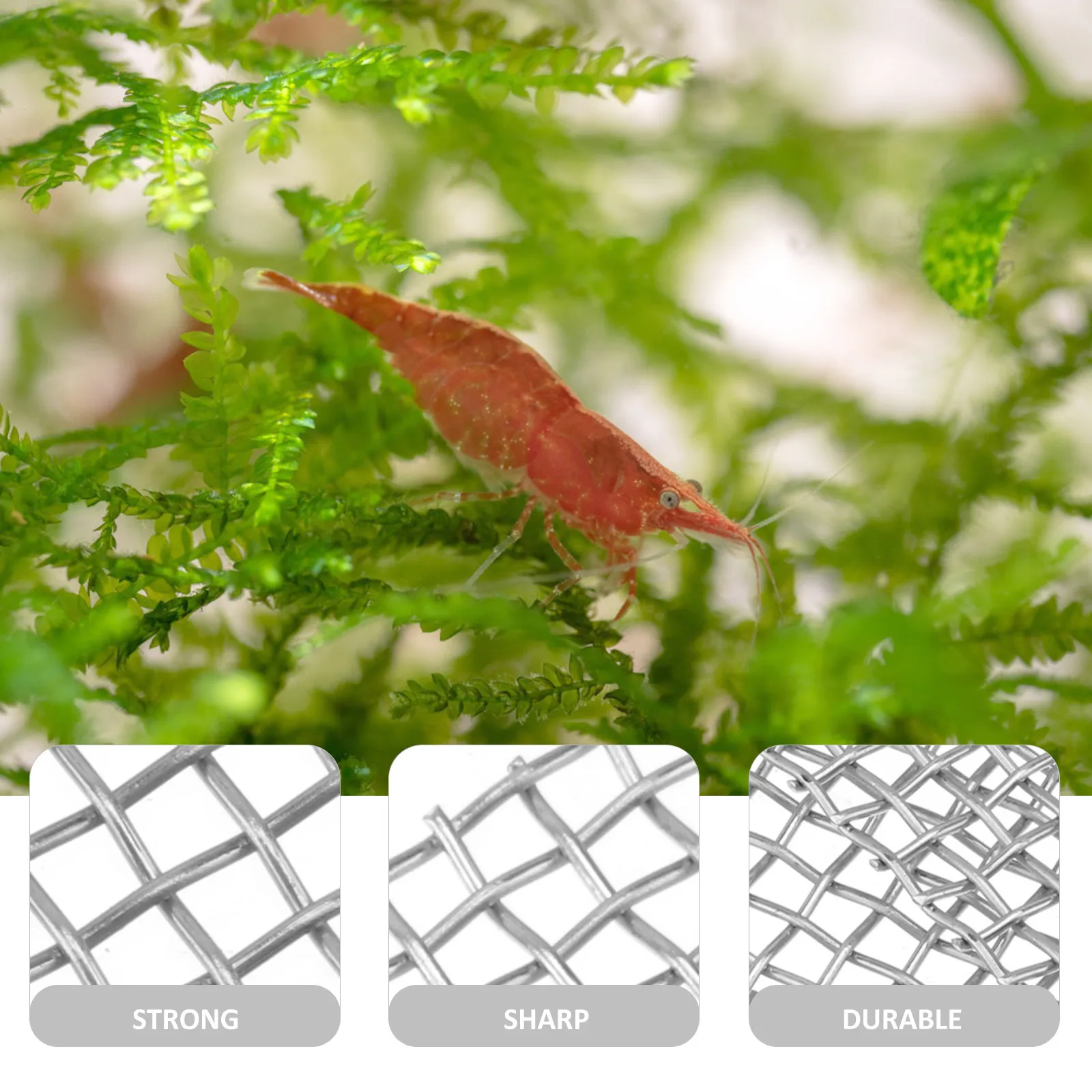 10Pcs Stainless Steel Aquarium Plant Fixed Net Water Grass Moss Mesh Pad Eco Friendly Rust Proof Tear Resistant Fish Tank