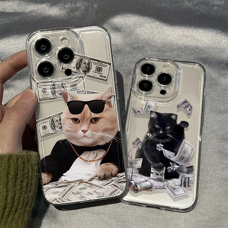 Banknote-themed Cat Liquid Silicone Case For Apple IPhone 15 16 14 13 12 11 17 Pro Max 17 Air 16 Plus Protective Phone Cover