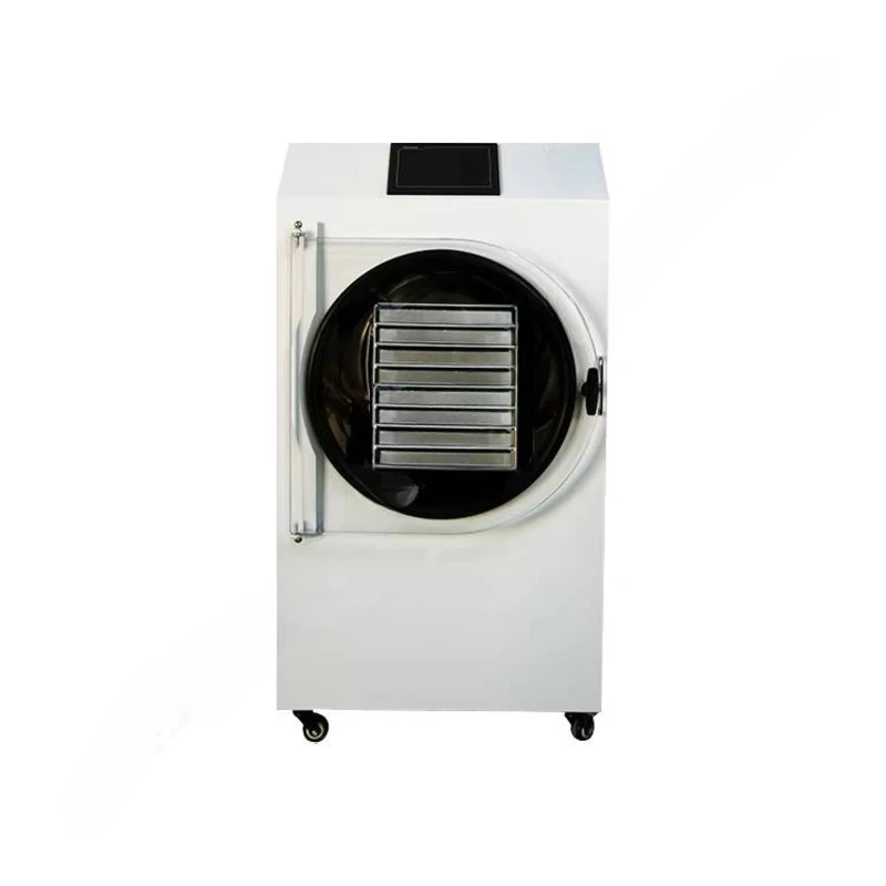 2-3 kg Hfd-1 Liofilizzatore per caffè Multi collettore Liofilizzatore sottovuoto Liofilizzatore da laboratorio Controllo interruttore indipendente