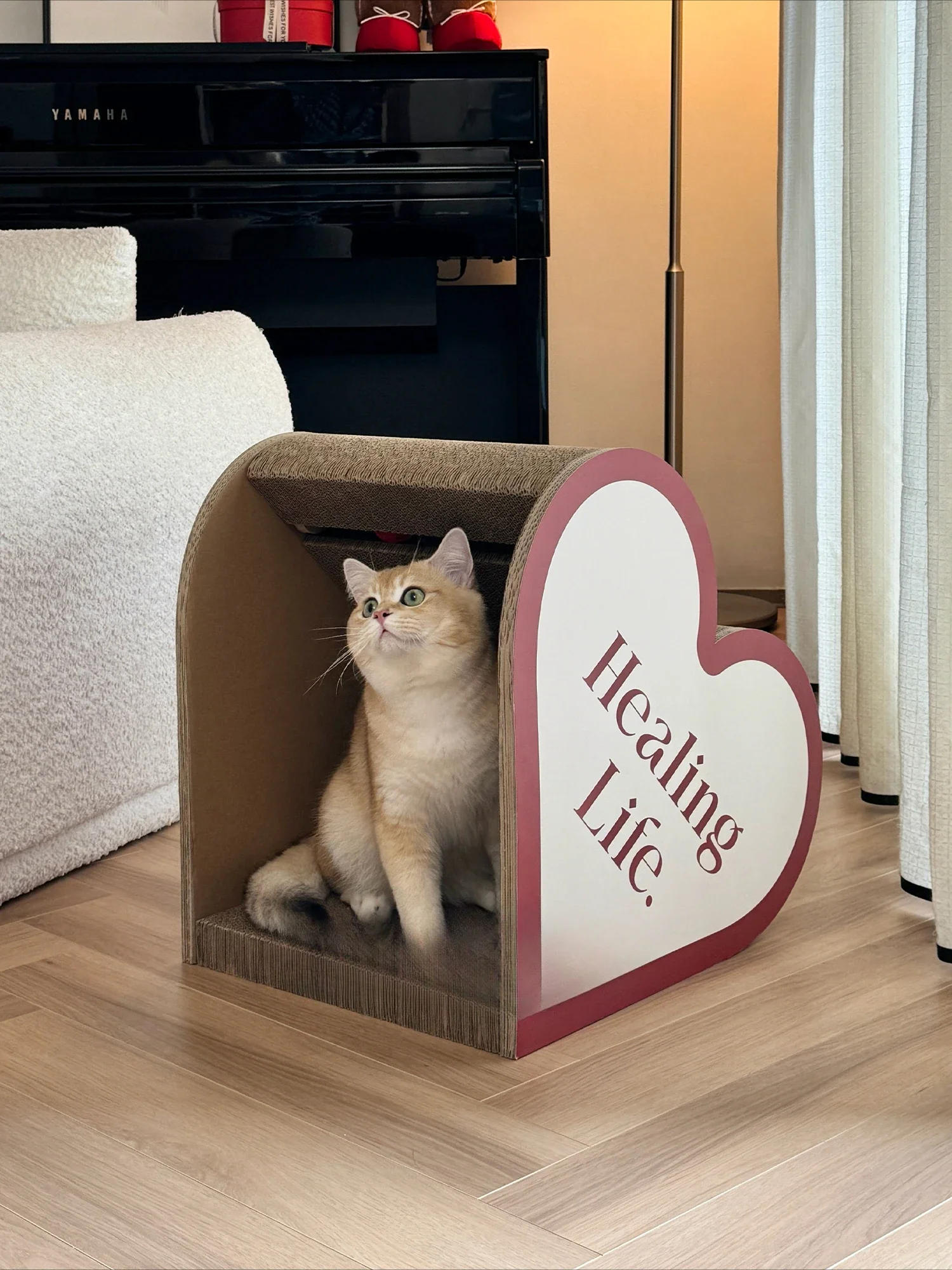 

Love cat scratching board cat nest one vertical small climbing frame can not drop the crumbs a few grinding claw toys
