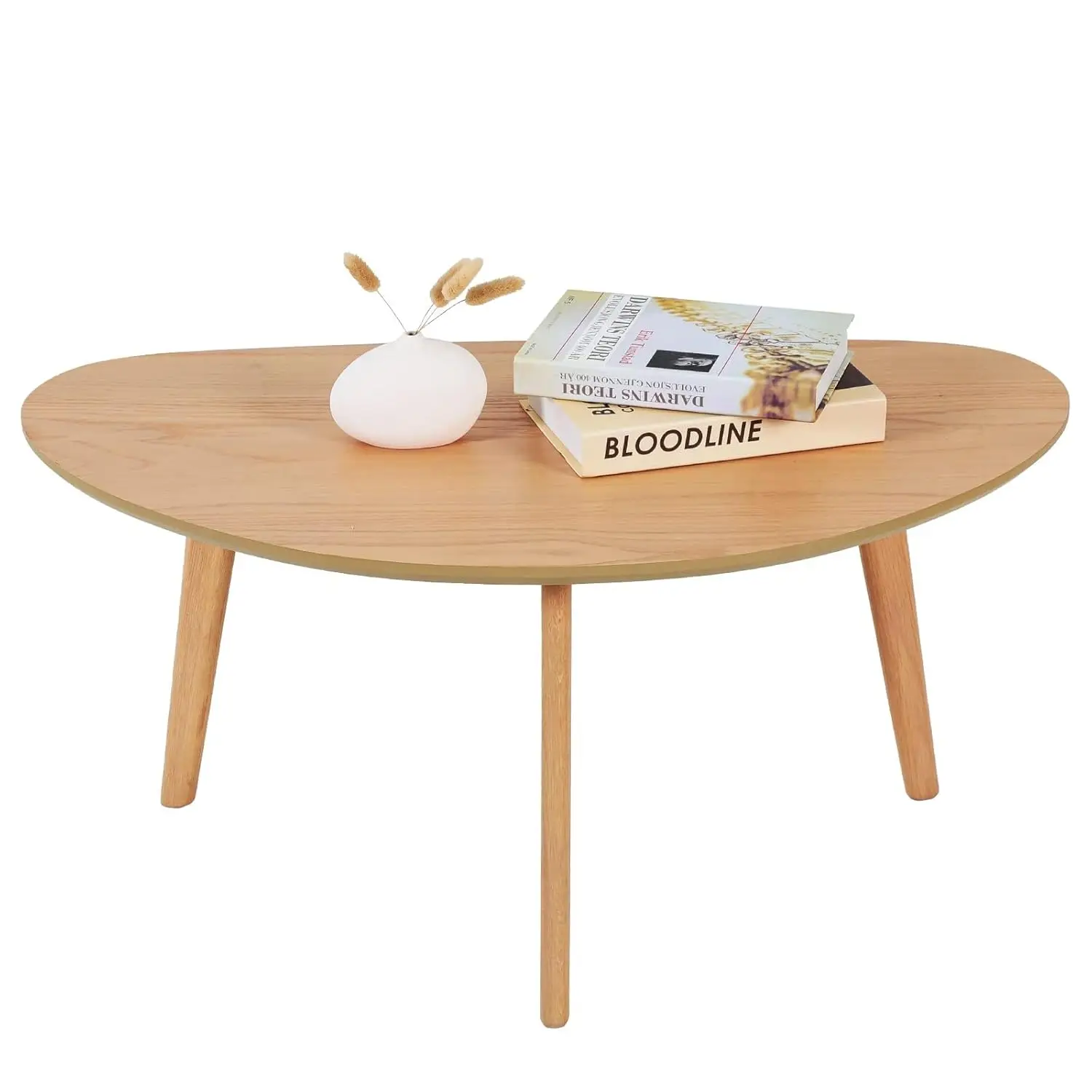 

Small Oval Coffee Table Mid Century Modern for Living Room Center Minimalist Display Coffe Table,Nature Wood, Customized