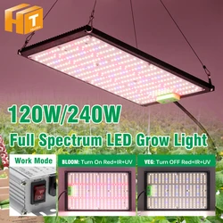 AC100-277V de luz LED de alto brillo, lámpara de crecimiento con Chip LM301H para invernadero, plantas de interior, 120W, 240W