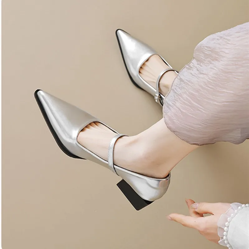 dimanyu-women-mary-jane-shoes-silver-pointed-toe large-size-women-shoes-elegant-office-party-dress-shoes-women