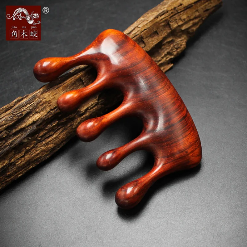 

Haworthia rosewood , massage large-toothed comb