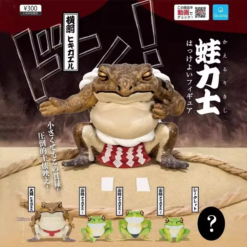 Japan Qualia Gashapon Capsule Toy Sumo Green Frog Class Model Collection Desktop Accessories Action Figure