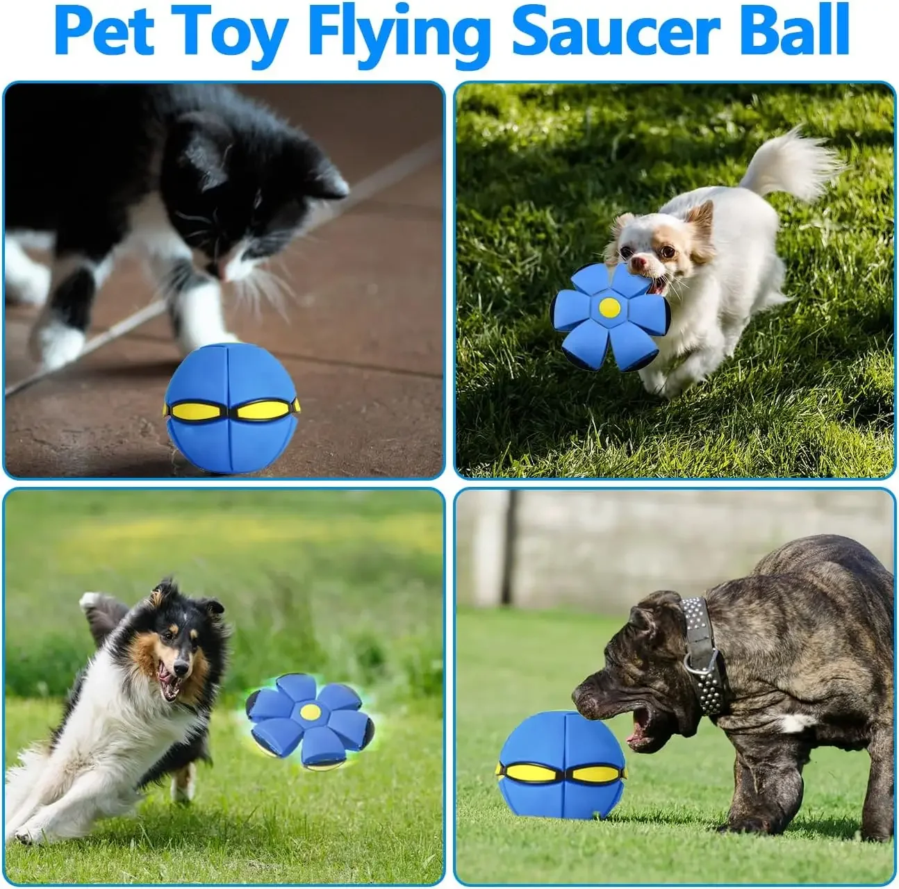 لعبة كرة القدم التفاعلية للحيوانات الأليفة للكلاب والقطط والأطفال في الهواء الطلق والداخلية ولعب الألعاب الممتعة في الحديقة والشاطئ والتخييم كرة القدم هدية