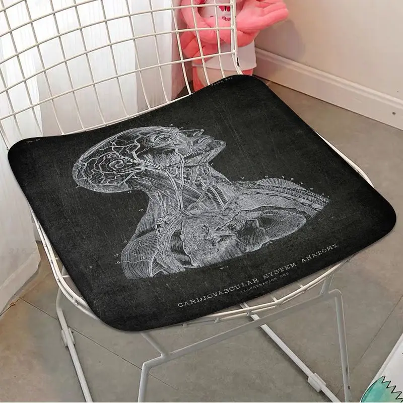 Anatomical Skeleton Decorative Chair Cushion Soft Office Car Seat Comfort Breathable 45x45cm Chair Cushions