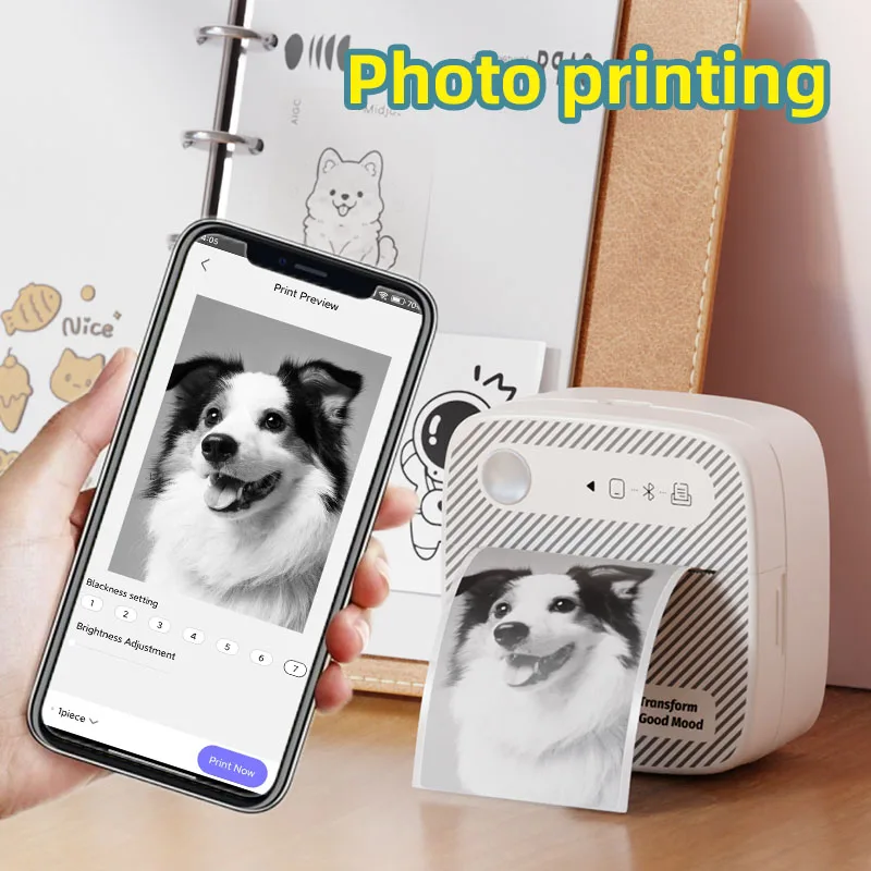 Impressora de adesivos com 10 rolos de papel adesivo de 57mm, bluetooth, compatível com ios, android, mini impressora térmica sem tinta para diy