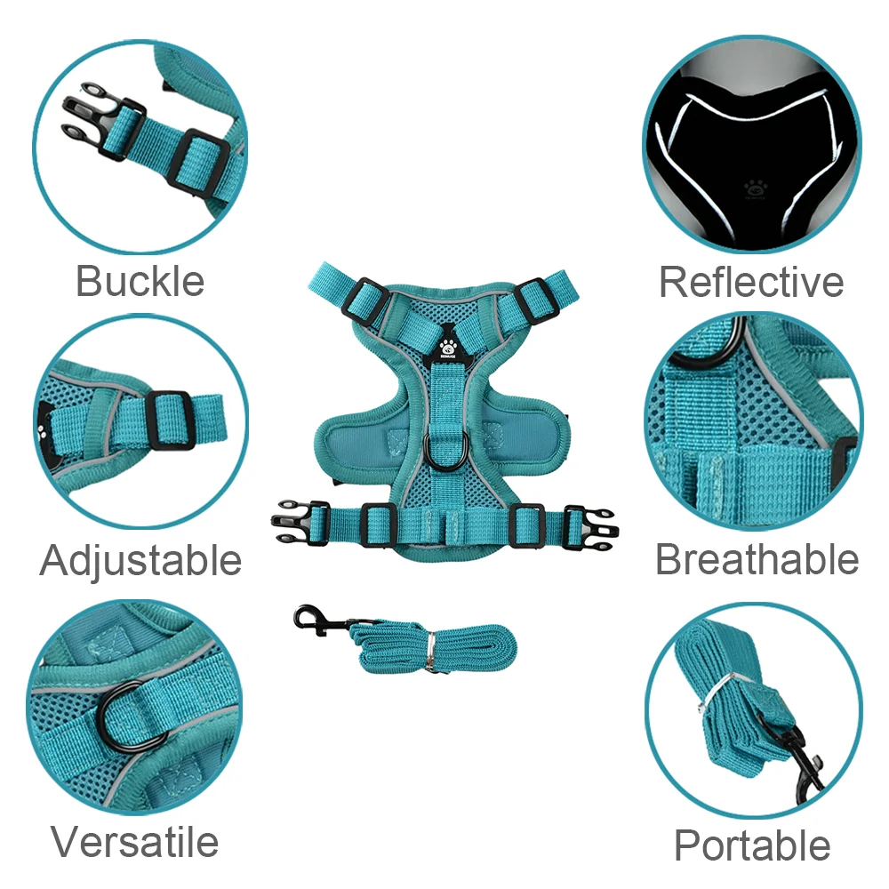 Thumbnail 2 - #68 Best Puppy Harnesses to Buy In 2026