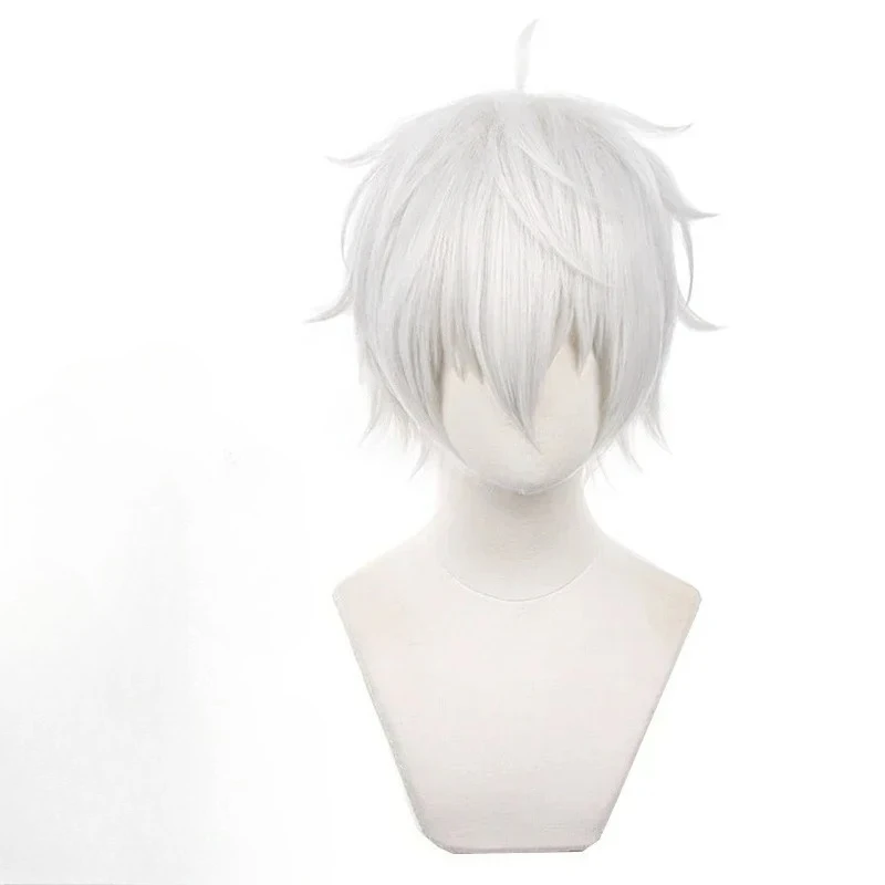Anime Seishiro Nagi Cosplay Wigs Silver White 30cm Short Warping Heat Resistant Synthetic Hair Man Wig