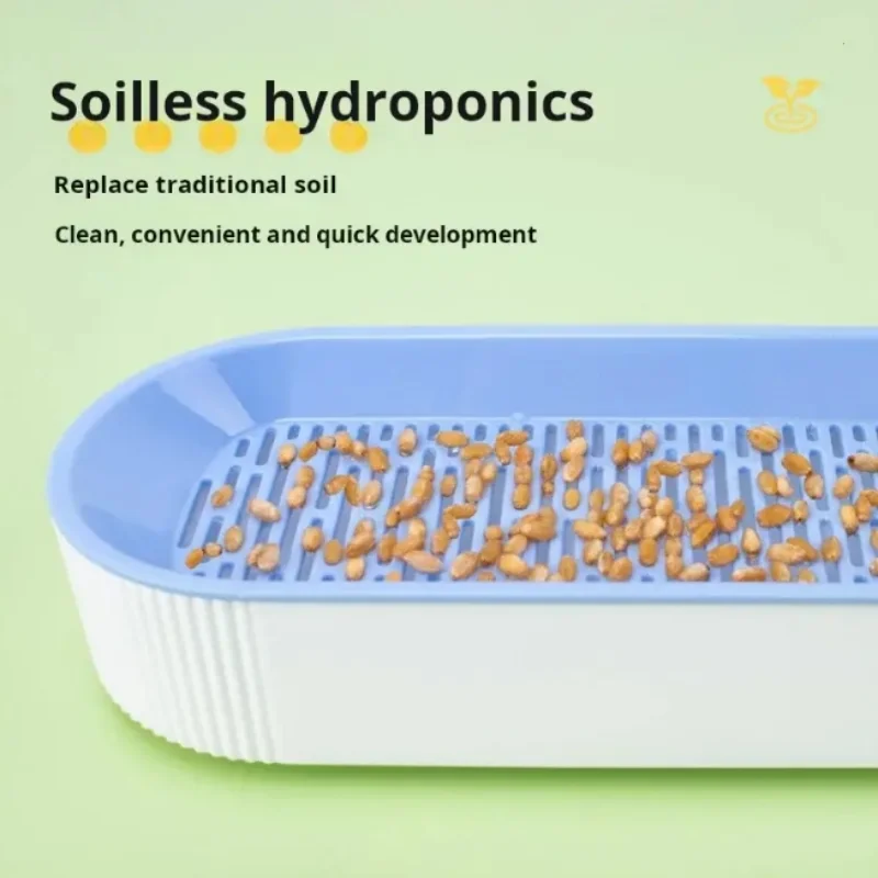Hydroponic Cat Grass Box Cat Treats Catnip Hydroponic Soilless Planting Cat Grass Pot Set for Easy Growth - view 4