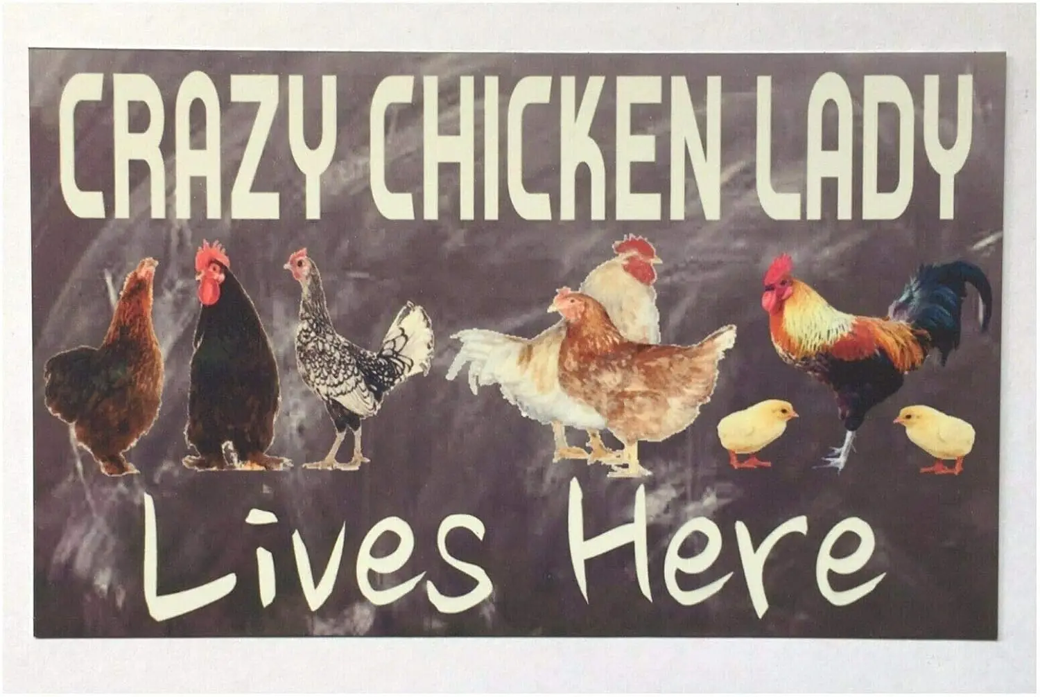 Y1,Tin Sign For New Vintage Retro Metal Funny Crazy Chicken Lady Lives Here Farm Country Street Garage ; Home Bar Club Kitc