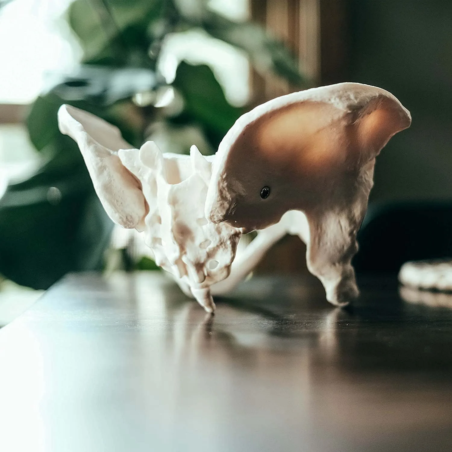 แบบจําลองกระดูกเชิงกรานหญิงขนาดชีวิต, แบบจําลองสะโพก - แบบจําลองกายวิภาคศาสตร์หญิง, แบบจําลองกระดูกเชิงกรานกระดูกสะโพก แบบจําลองทางกายวิภาคหญิง