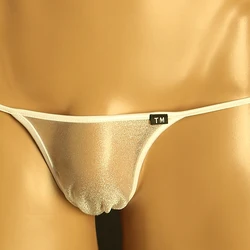 Men's Lingerie Low Rise G-String Elastic Underwear Thin T-Back Sexy Briefs See Through Thong Sheer Gays Sissy Pouch Underpants