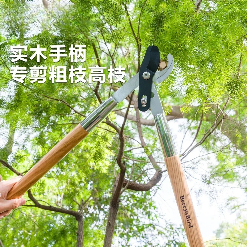 Horticulture forest thick branch shears pruning fruit trees large scissors strong long handle special tools