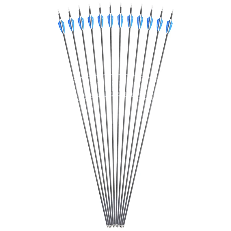 

6pcs 31'' Archery Pure Carbon Arrows SP500 600 900 ID4.2mm Arrow for Outdoor Archery Bow Hunting Shooting Training Accessories